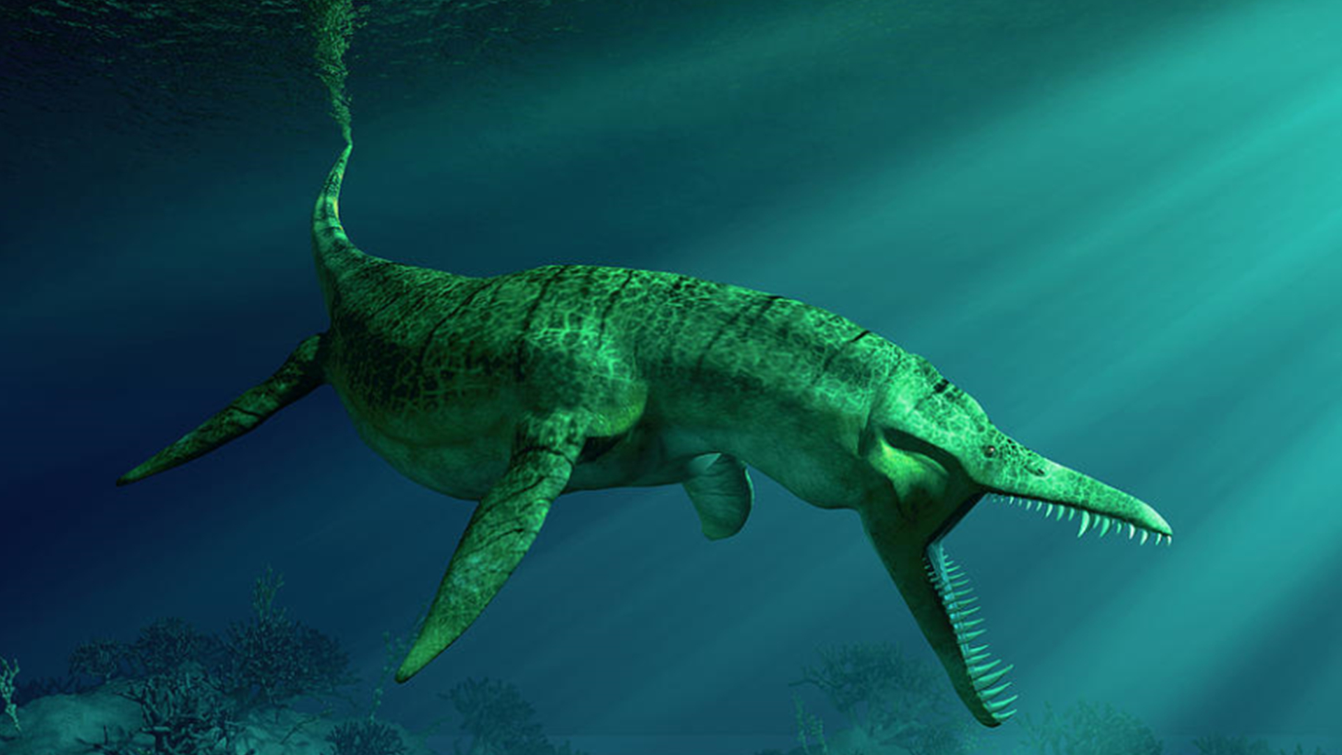 远古鲨鱼大全(史前最强大的10种生物排名)