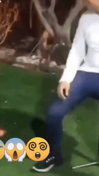 爆笑的动态图：这一时刻，你让我笑出了猪叫！
