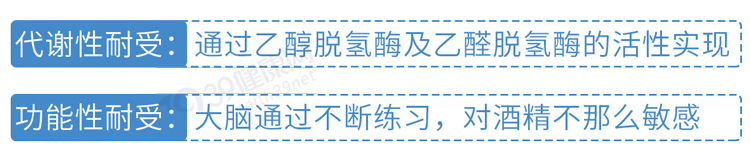 一喝酒就脸红和脸白的人，谁的酒量更大？酒量能练出来吗？