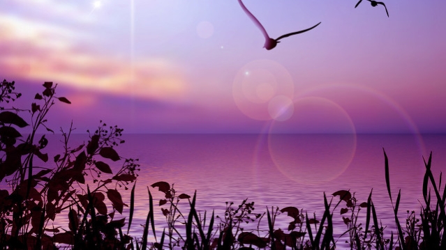 做好职业规划，收获美好人生