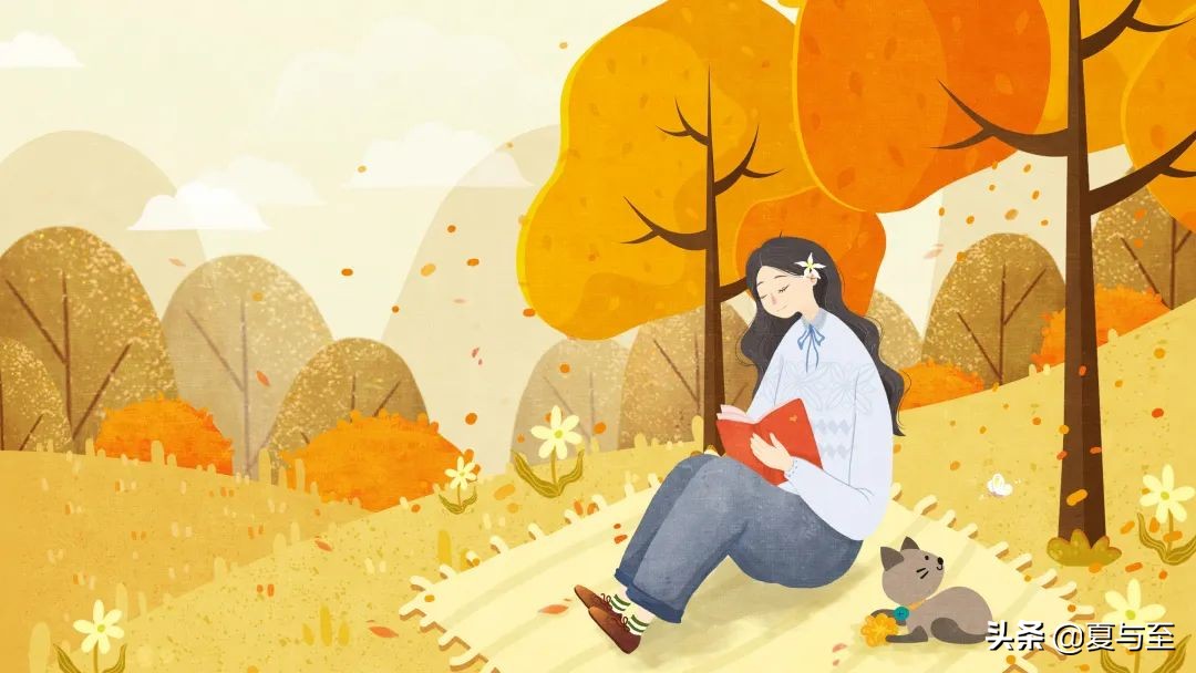 改变从读书开始：5本不错的书，温暖治愈，总有一本适合你