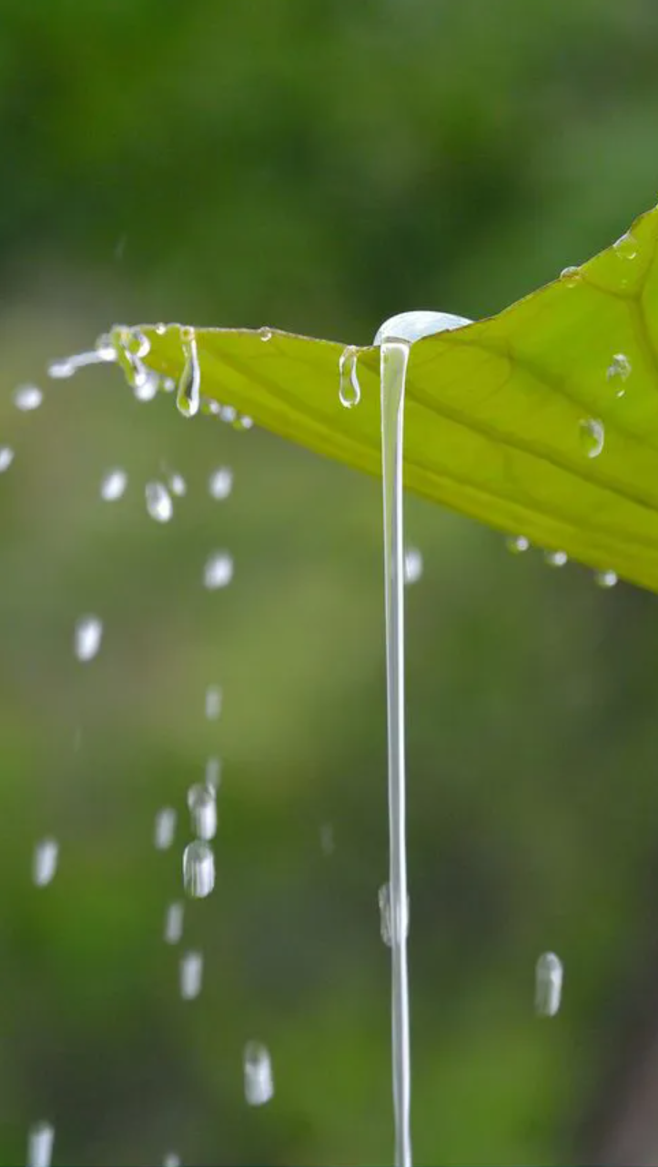 「诗词鉴赏」12首有关小雨的诗词，让小雨驱散夏日的炎热