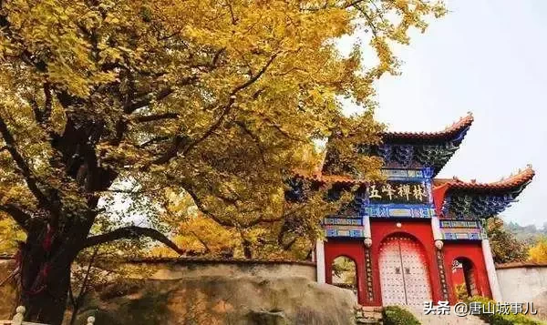 2019唐山全面爆发,790万唐山人的身价要涨了