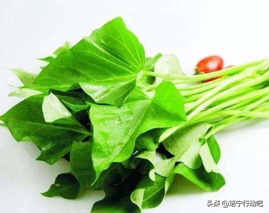 哪些蔬菜纤维素高？6种高膳食纤维蔬菜推荐-第7张图片
