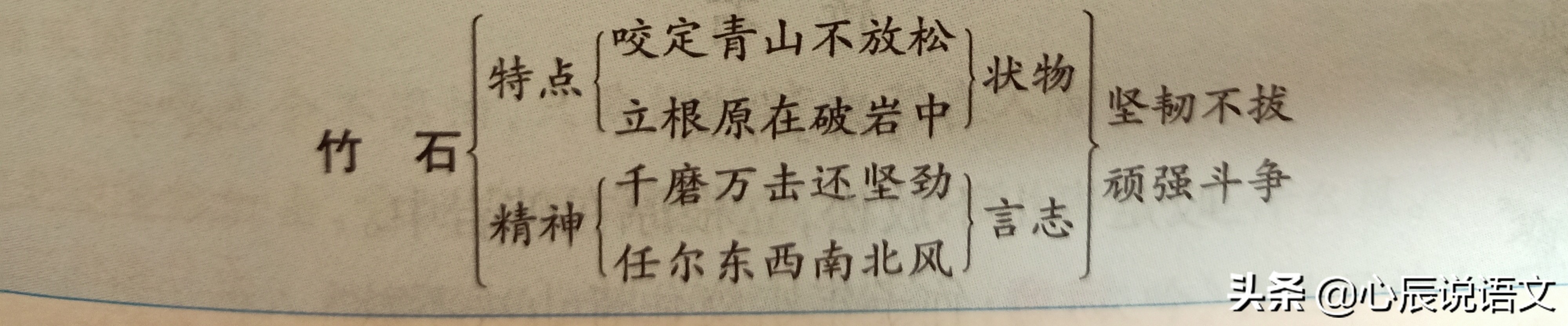 六年级第10课古诗《竹石》的笔记及课后答案，还有很齐全的知识点