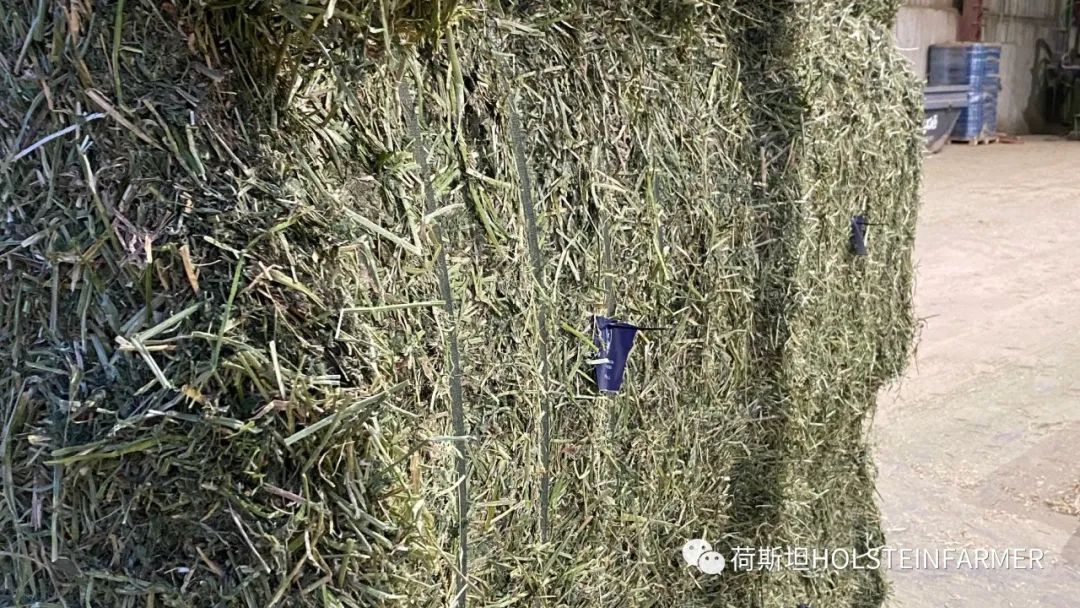2020美國(guó)&西班牙牧草收成：天氣&物流依舊不確定