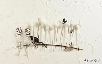 设计类专业解读