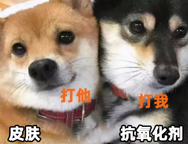 抗衰产品大起底，这 10 款性价比超高，不比医美差