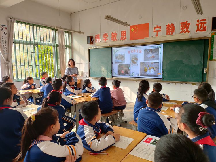 坊子区三马路小学：以研促教，砥砺前行(图10)