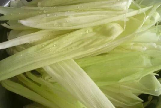 端午百科：年年吃粽子，粽叶是什么植物的叶子？天南海北不一样！