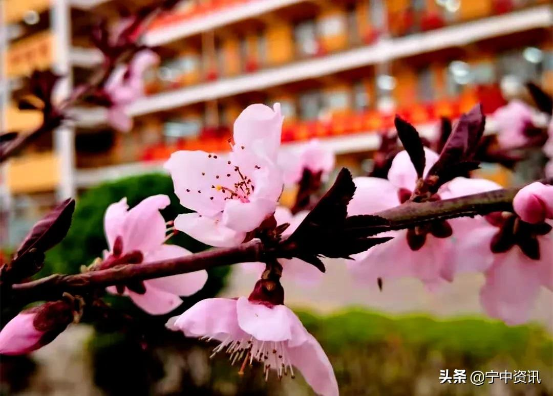 宁晋中学高二7班刘政泽：勤学，更会学