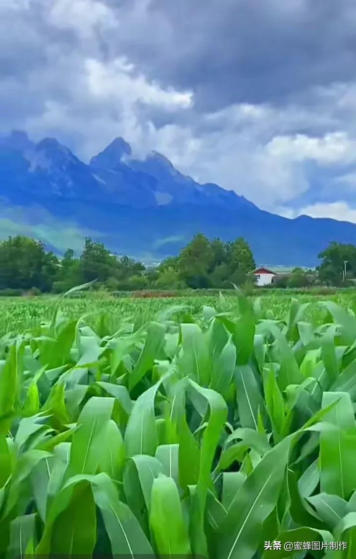 壁纸美图，田野自然风光