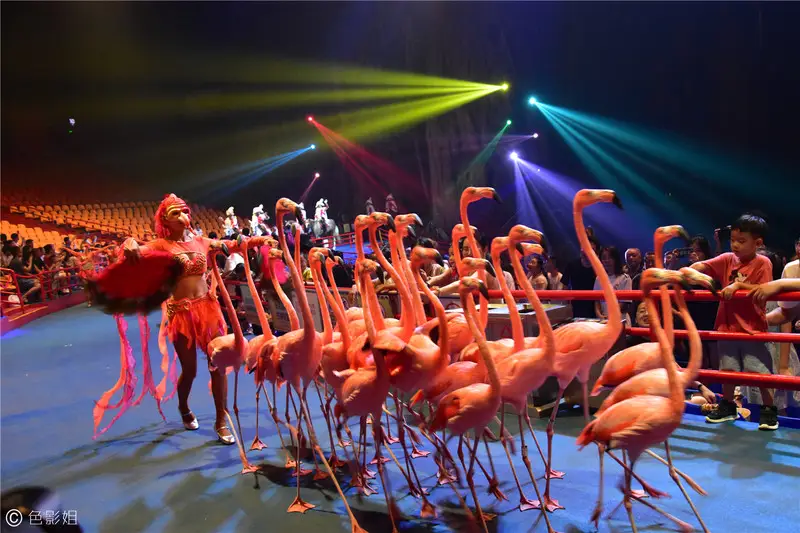 长隆欢乐世界旅游攻略景点必去（三天三夜欢乐长隆之旅）