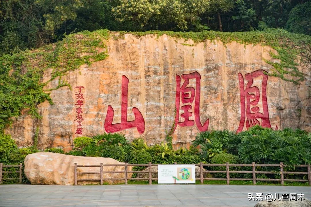 各区都有，带娃走起！深圳40+免费景点，假期一日游刚刚好