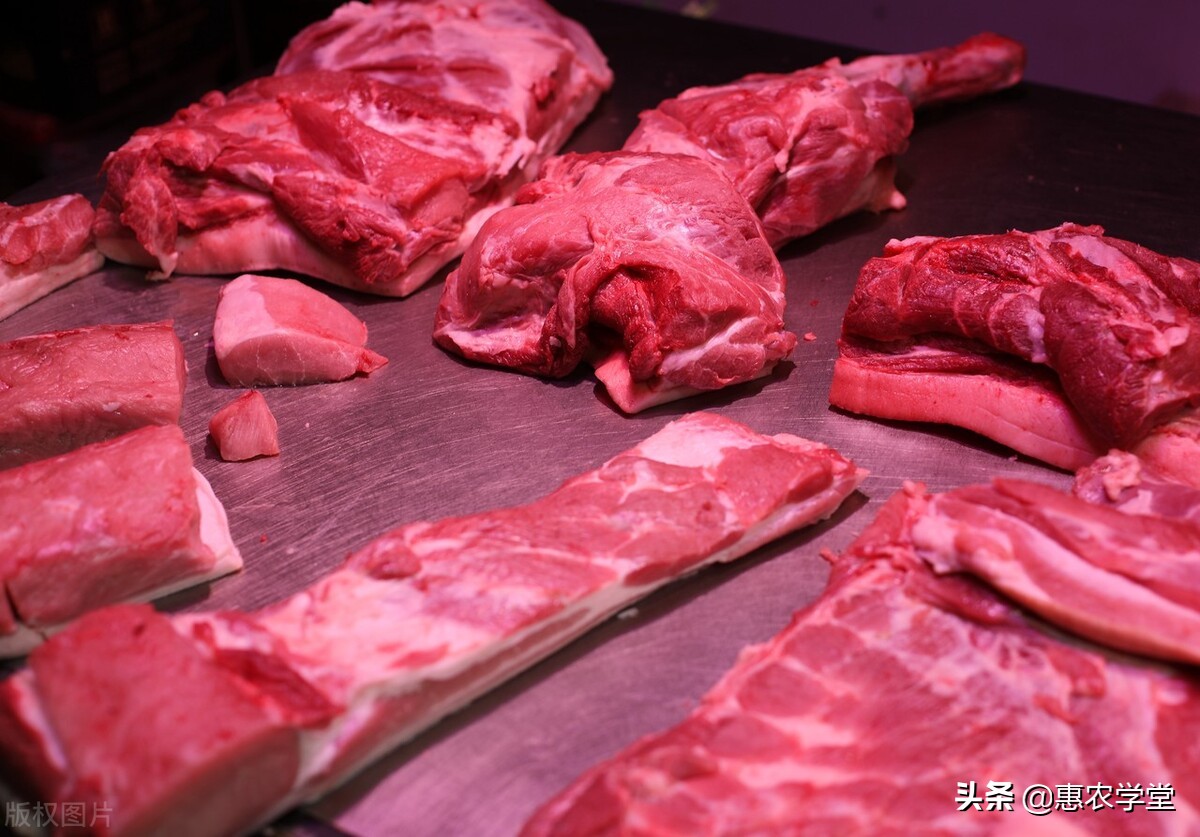 现在一斤猪肉多少钱？年底会大涨吗？2021年底猪肉价格行情预测