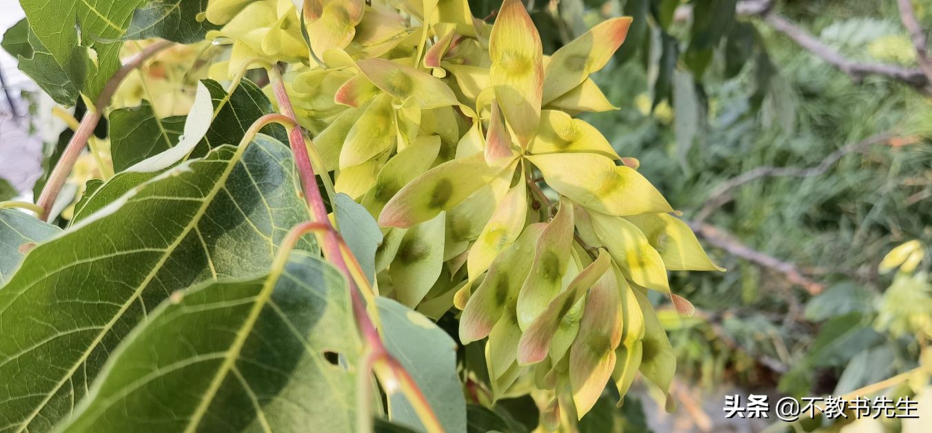 烟台师范大学（山东45所公办本科高校名单）