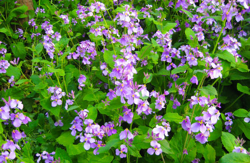 2019 年南理工化工学院拟录取名单（一志愿）