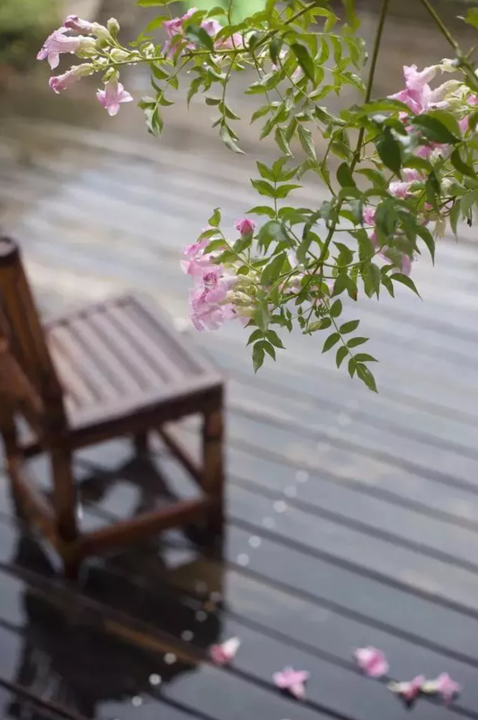 「诗词鉴赏」12首有关小雨的诗词，让小雨驱散夏日的炎热