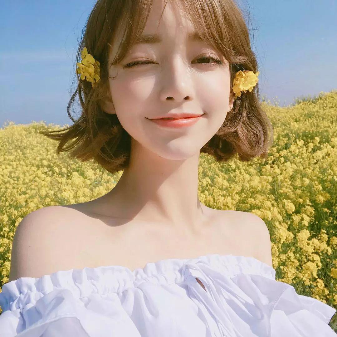 双十一狗粮（犬粮）的选购攻略，主流9款主粮点评