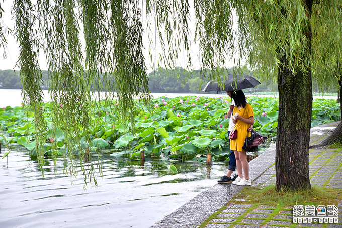 烟雨西湖，美丽如画，美妙如诗