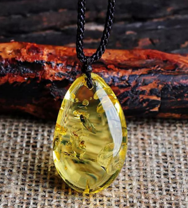 别再被小学课本“欺骗”了，真正的琥珀形成过程，原来这么复杂