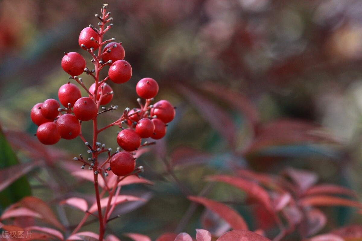 高考英语（江西卷）书面表达题历时研究
