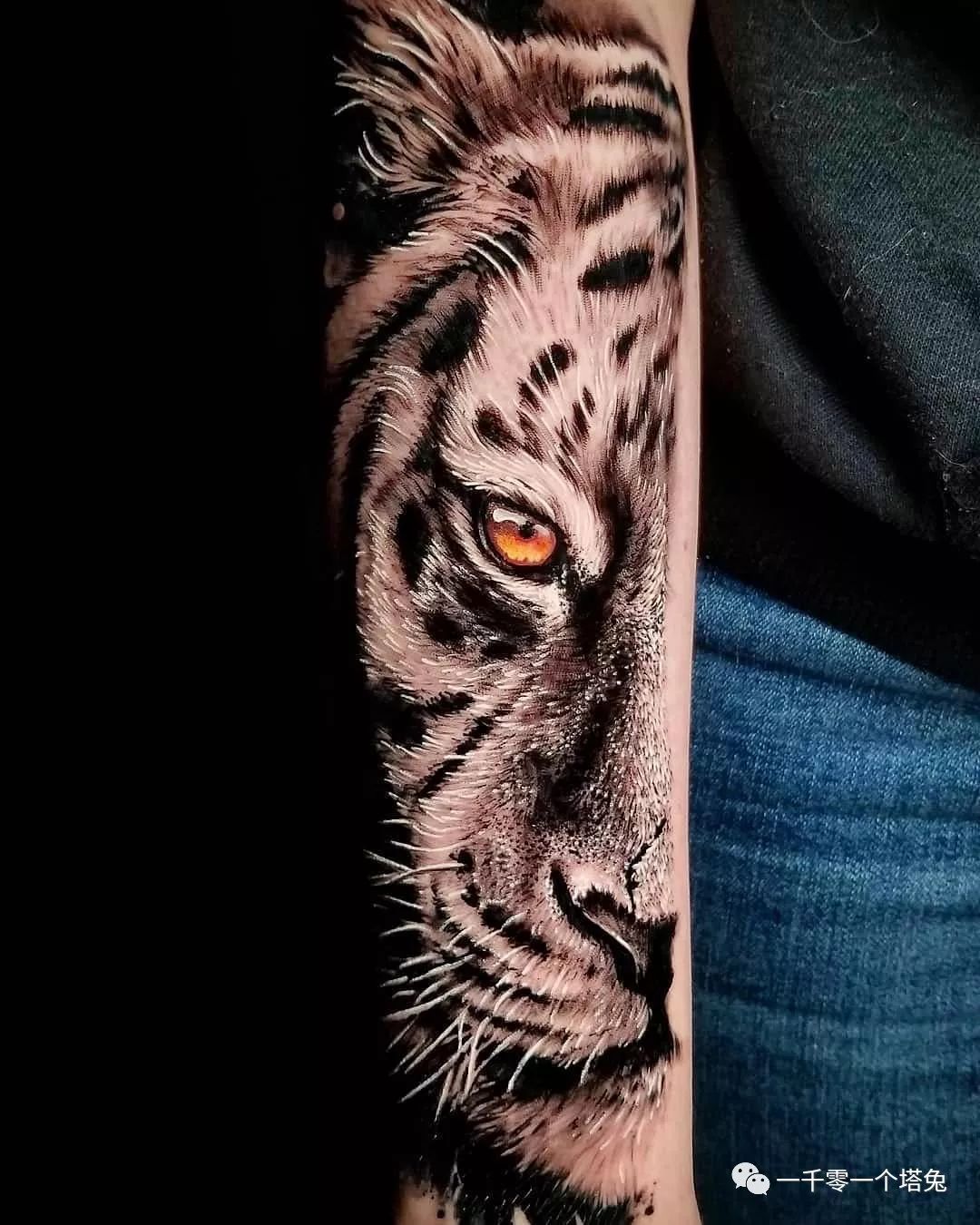 纹身图案分类第11期-动物-老虎