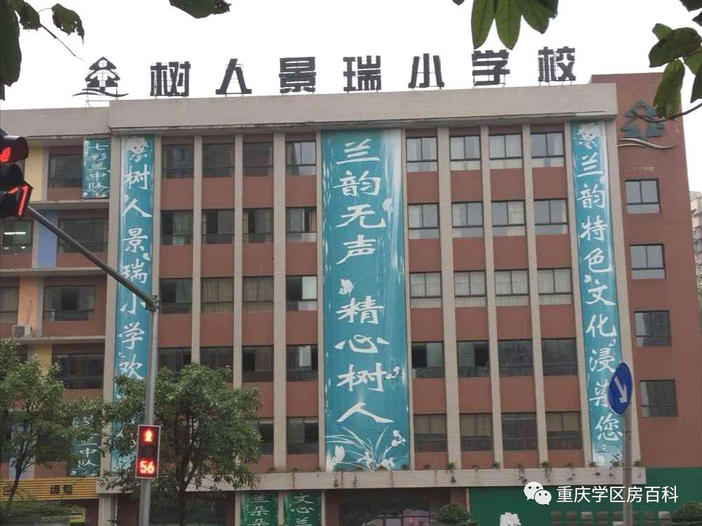 浙江树人大学学费（树人小学到底有多少分校）