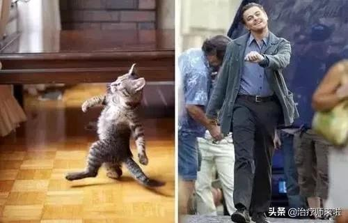 康复10年其修远