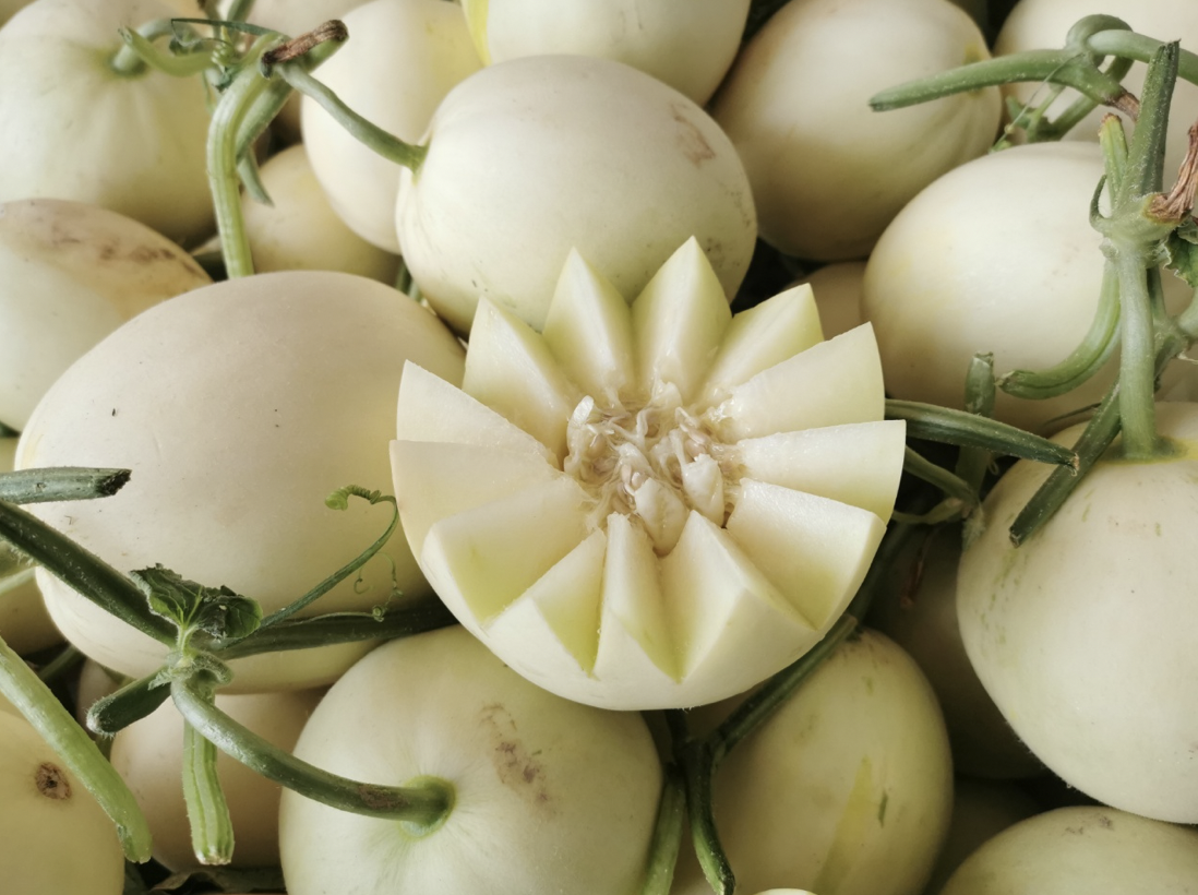 婴儿能吃伊丽莎白瓜吗(吃瓜界中的) - 乐宝宝贝