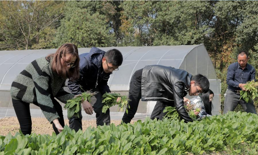 东北一所一本大学，报考人数凤毛麟角，全因为看名字像“专科”