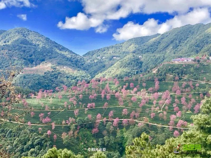 12月最佳旅行地推荐！年尾用一场完美的收官旅行告别2019
