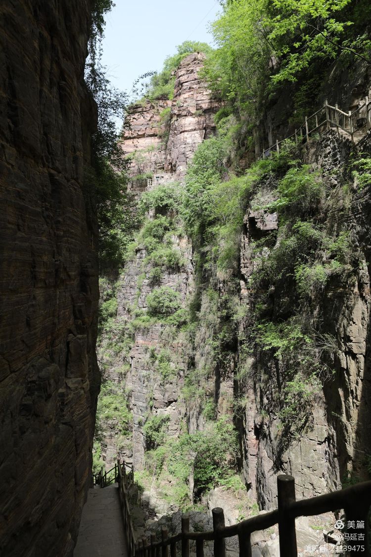 冯延吉：春游万仙山景区