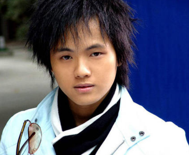 王子歌个人资料简介(19岁靠唱歌一天赚一万元) - 散下步