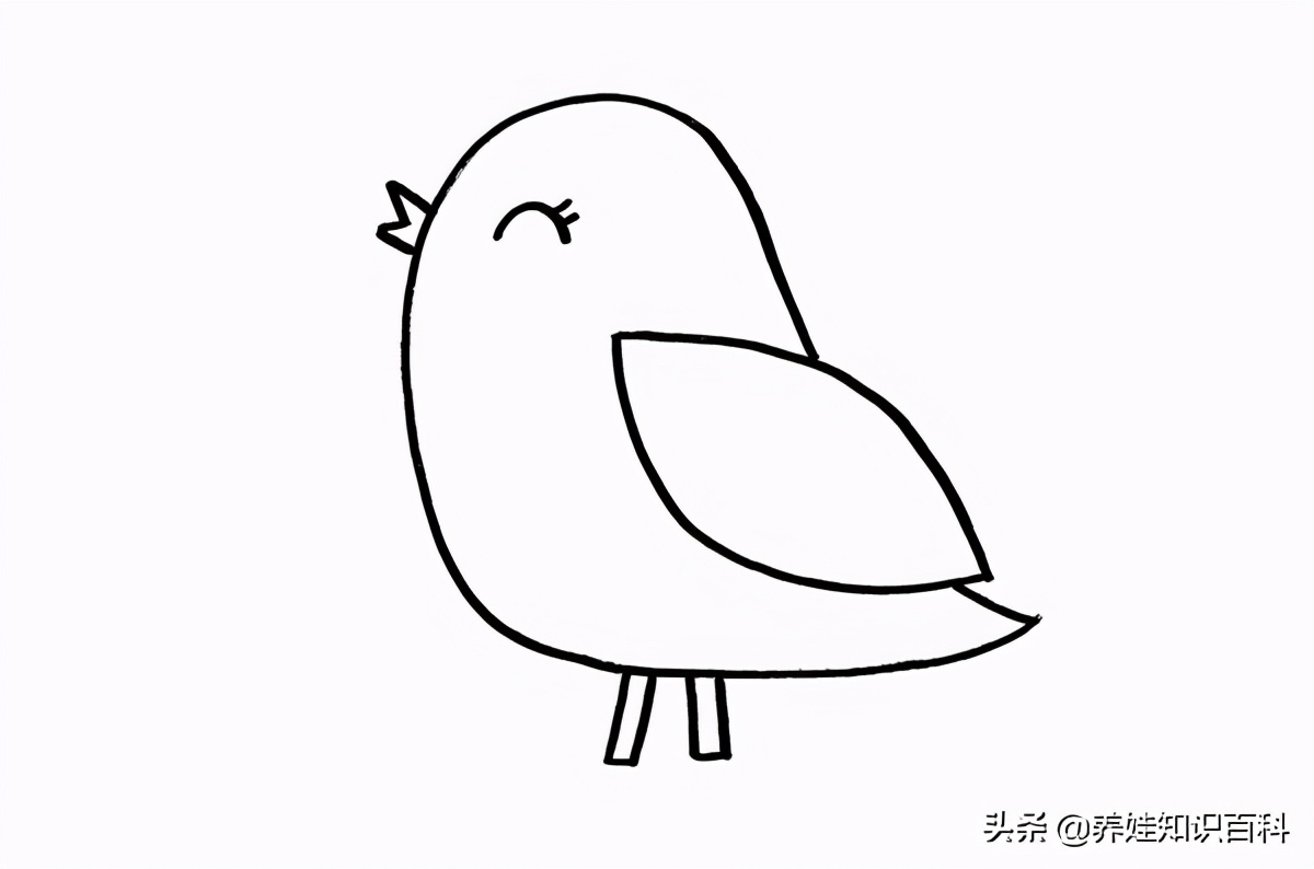 小鸟的头怎么画简单图片