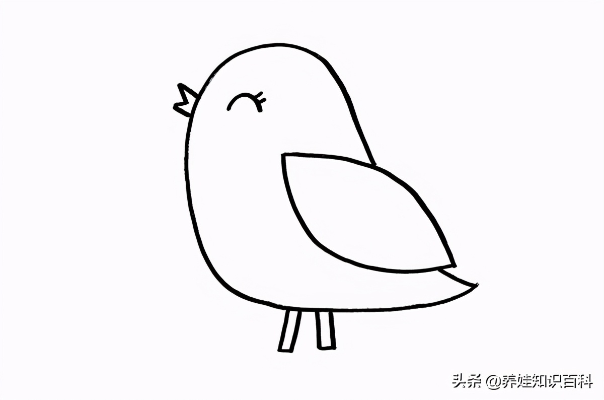 小鸟怎么画简单