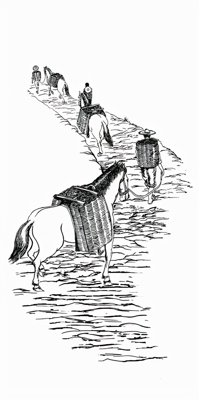 山间铃响马帮来,茶马古道的马帮传奇