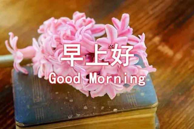 美女表情包：真正的绝望，是内心的迷茫