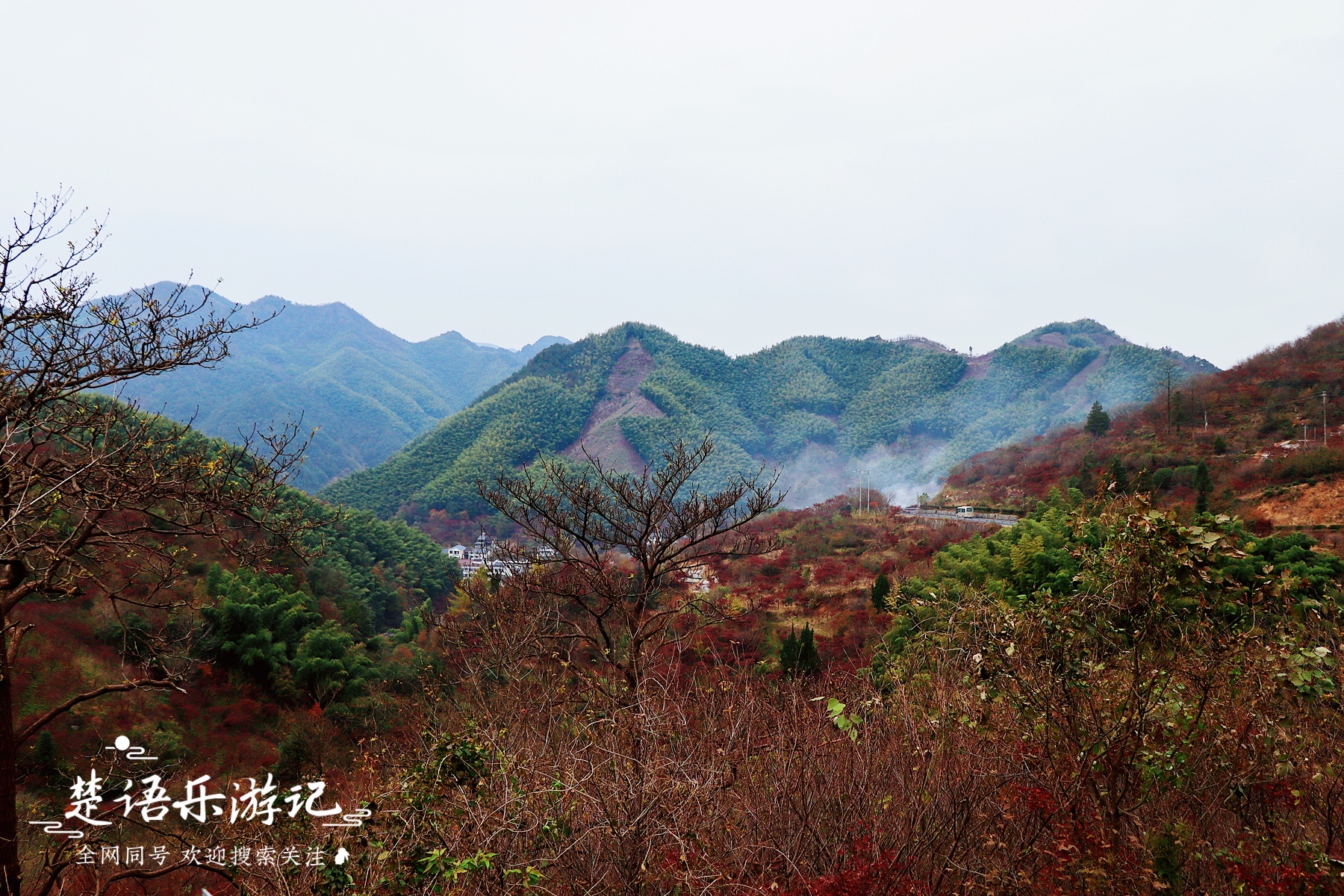 四明山红枫樱花（号称红枫之乡的浙江被人遗忘的世外桃源）