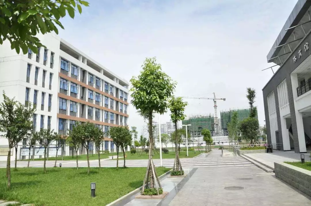 热门！2020年成都小升初最值得推荐的45所学校