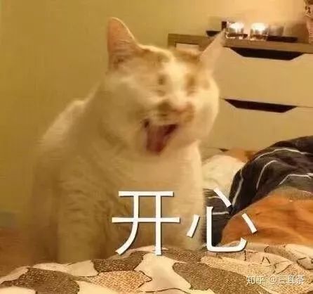 10本快穿言情小说，炮灰攻略、每个世界苏一遍、情话终有主巨好看