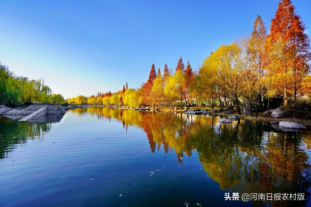 今年郑州大学本硕博招19474人，新增“国际政治”专业，大幅增加农村专项招生计划