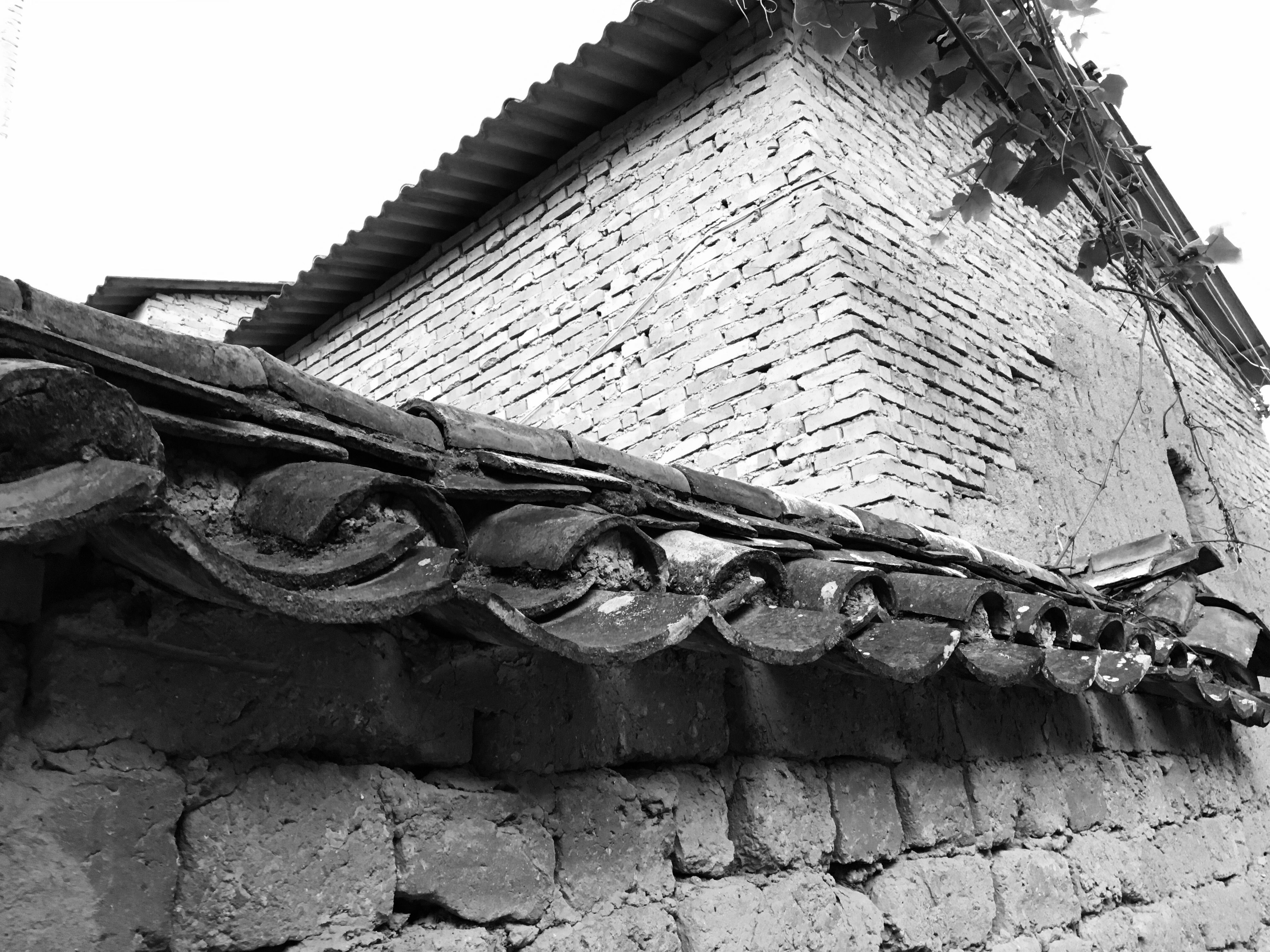 云南昆明呈贡大学城你不知道的景点！