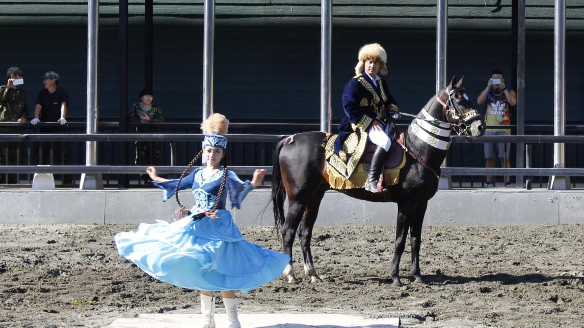 什么是汗血寶馬,
