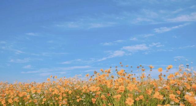 奴隶学院（活着）