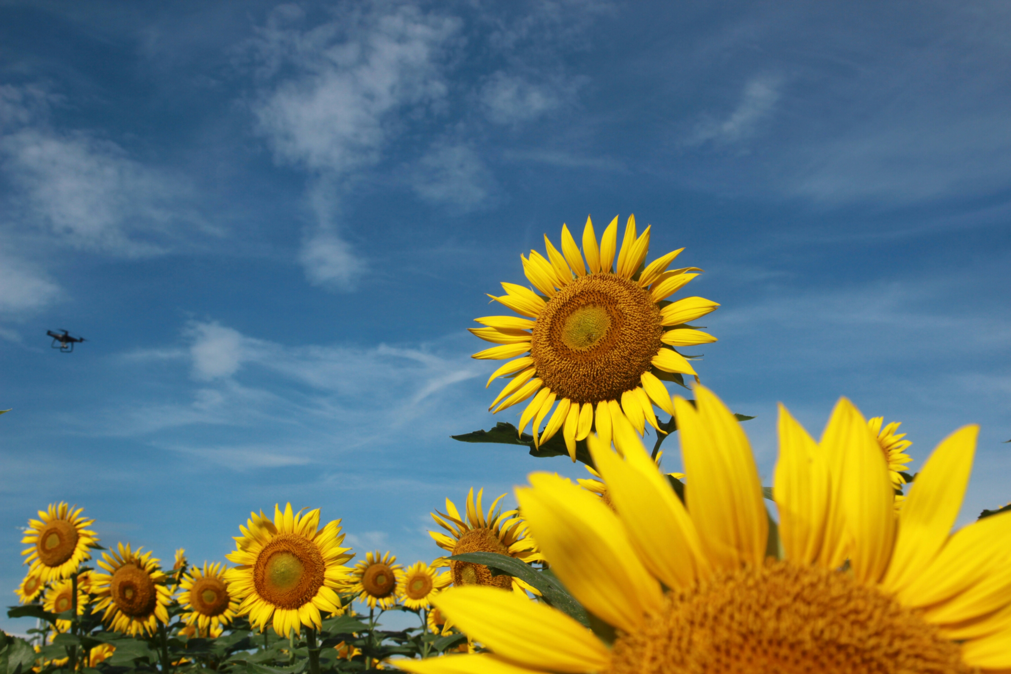 散文:人生低谷,需要一份希望,一份坚强