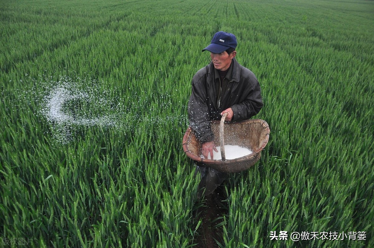 氯化铵是酸性还是碱性（氯化铵使用的7个注意事项）