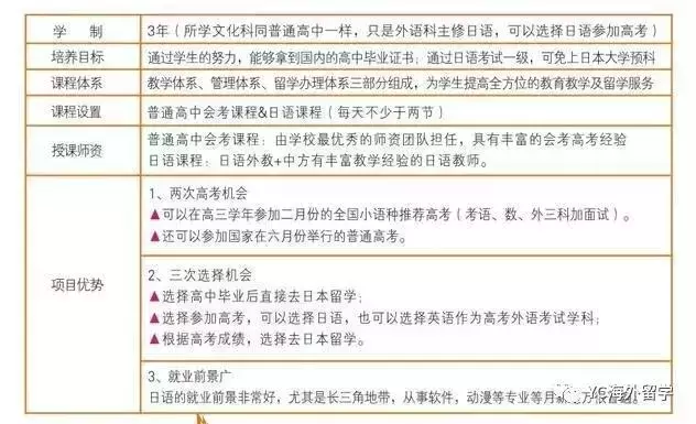 合肥国际学校有哪些，超详细国际学校一览表