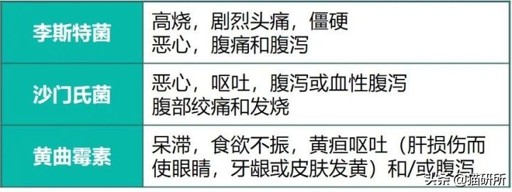 如何买到安全的猫粮？