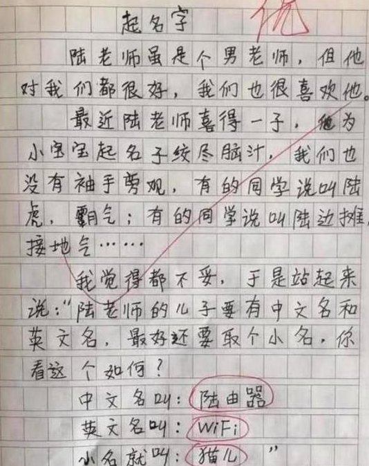 小学生作文《我的理想》获满分，老师评语亮了：注意你的同桌